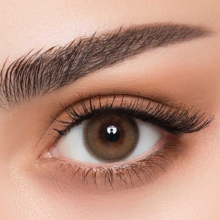 Afle Daily Lenses (7034536788015)