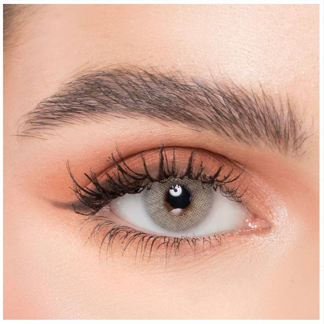 Naturel Daily Lens (7021604700207)