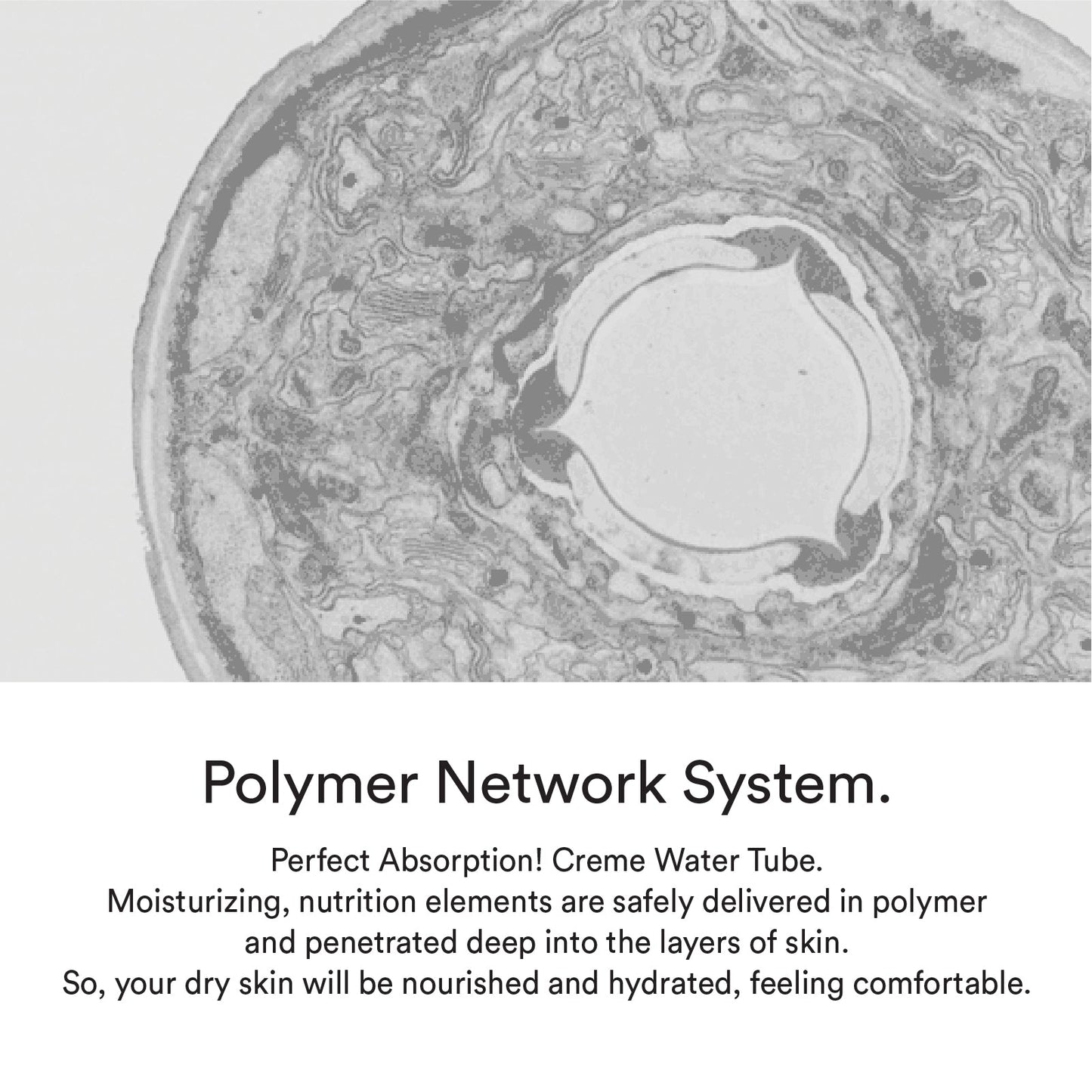 Abib Hydration Crème Water Tube 75mL (7167059820591)