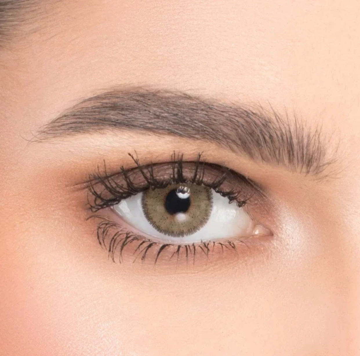 Naturel Daily Lens (7021604700207)