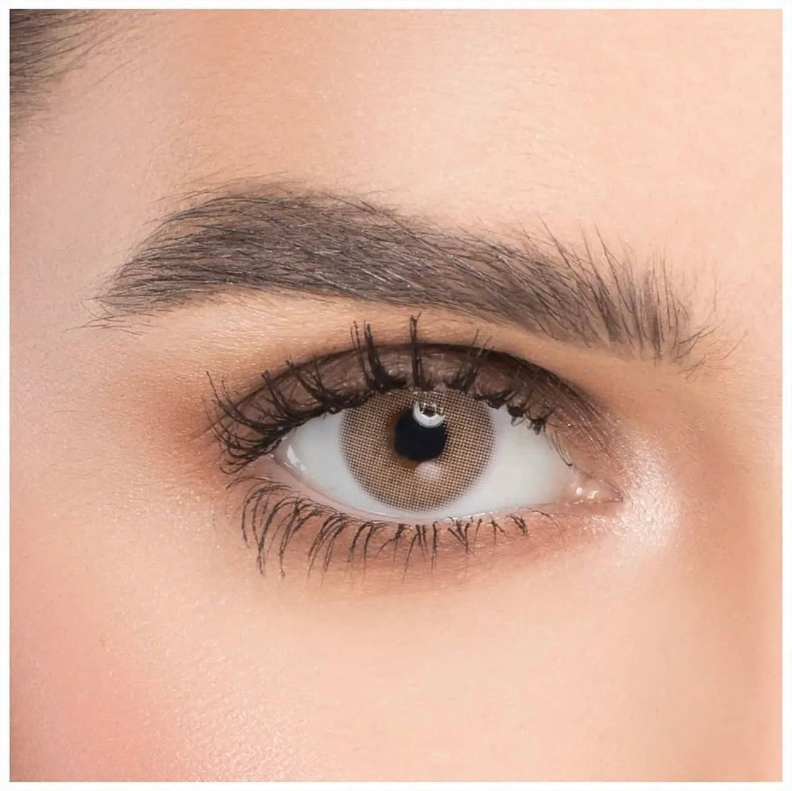 Naturel Daily Lens (7021604700207)