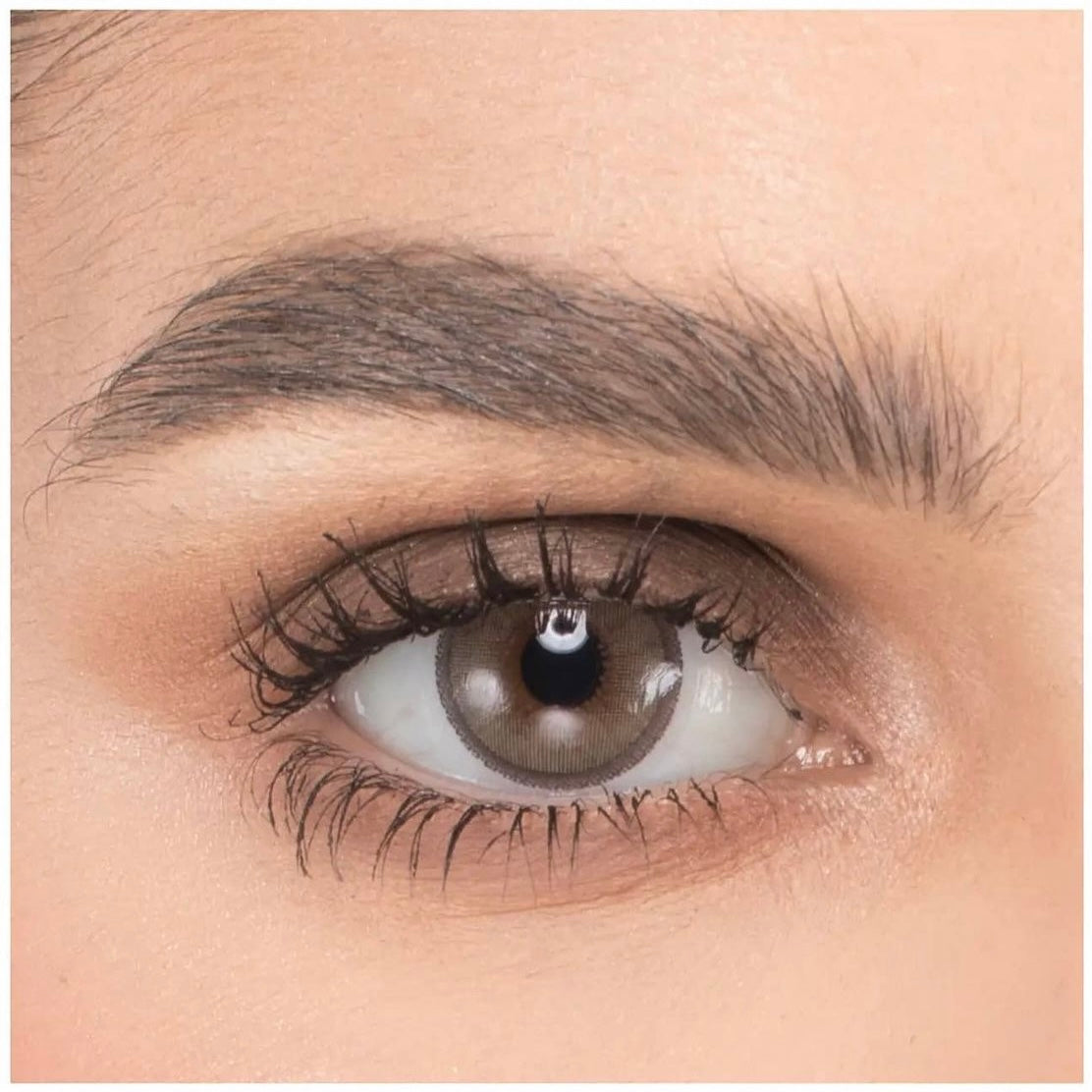 Naturel Daily Lens (7021604700207)