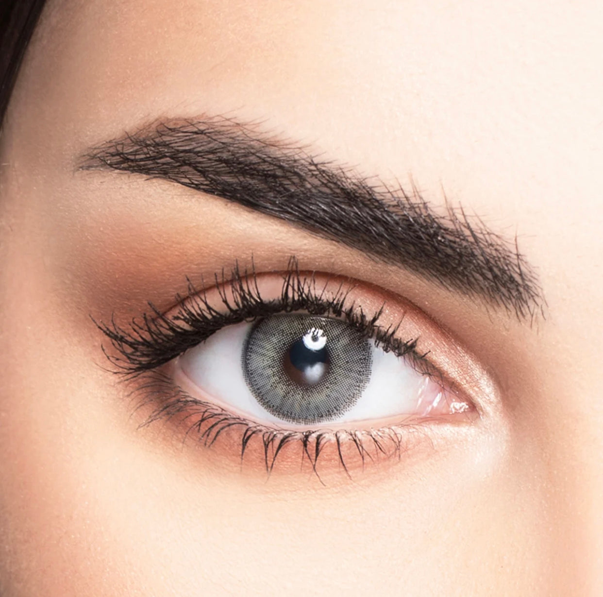 MyLens Monthly (7021597622319)