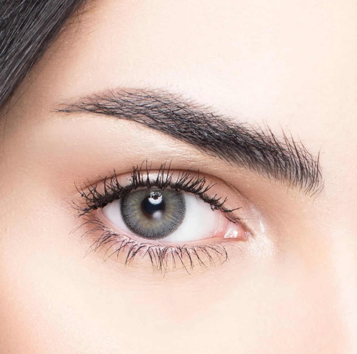 MyLens Monthly (7021597622319)