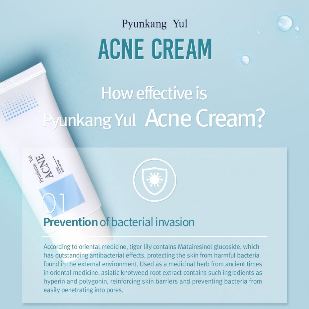 Pyunkang Yul ACNE Cream 50mL (7167192498223)